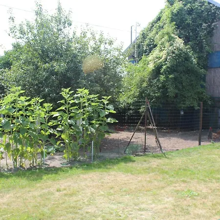 Kociewiak Farm stay Szteklin