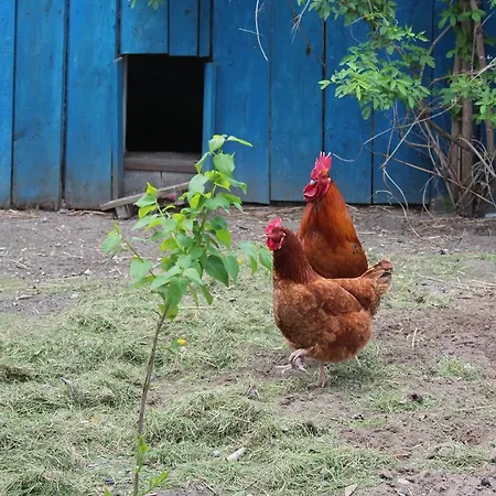 Kociewiak Farmház Szteklin