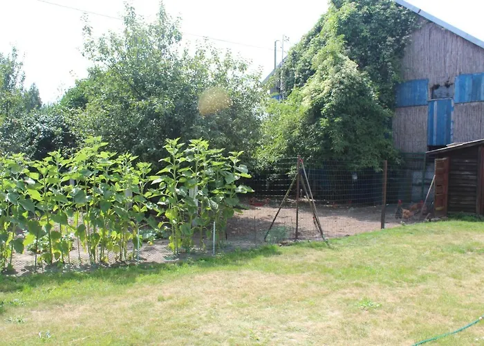 Kociewiak Gospodarstwo agroturystyczne Szteklin