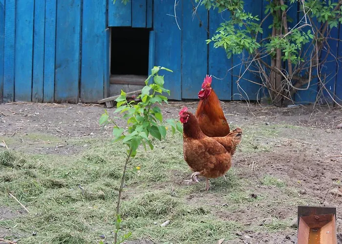 Kociewiak בית חווה Szteklin